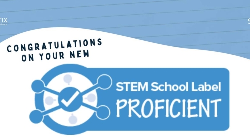 Stem proficient
